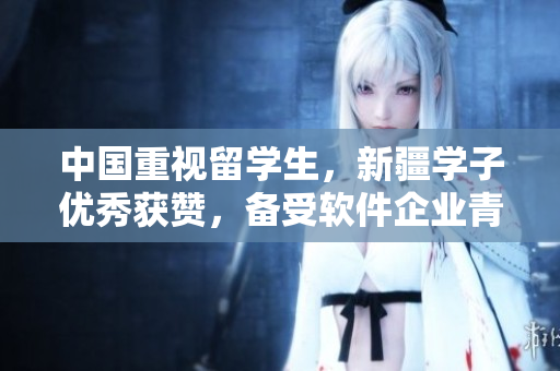 中国重视留学生，新疆学子优秀获赞，备受软件企业青睐