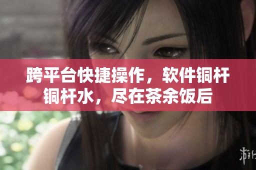 跨平台快捷操作，软件铜杆铜杆水，尽在茶余饭后