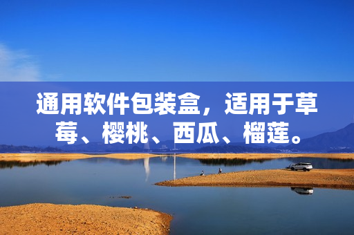 通用软件包装盒，适用于草莓、樱桃、西瓜、榴莲。