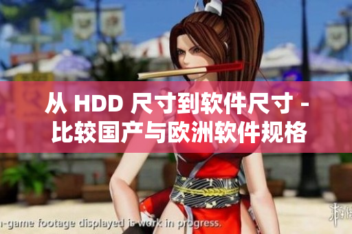 从 HDD 尺寸到软件尺寸 - 比较国产与欧洲软件规格表