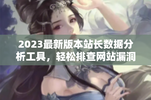 2023最新版本站长数据分析工具，轻松排查网站漏洞