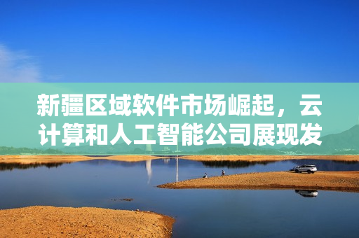 新疆区域软件市场崛起，云计算和人工智能公司展现发展潜力