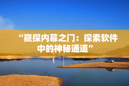 “窥探内幕之门：探索软件中的神秘通道”