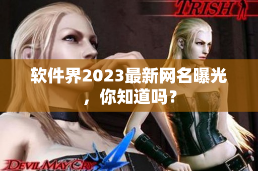 软件界2023最新网名曝光，你知道吗？