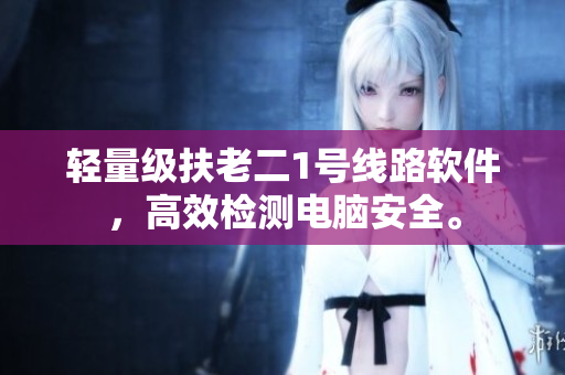 轻量级扶老二1号线路软件，高效检测电脑安全。