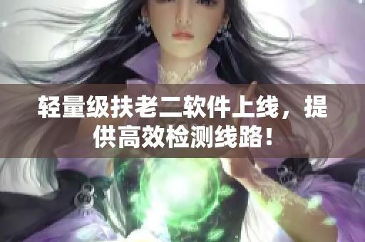 轻量级扶老二软件上线，提供高效检测线路！