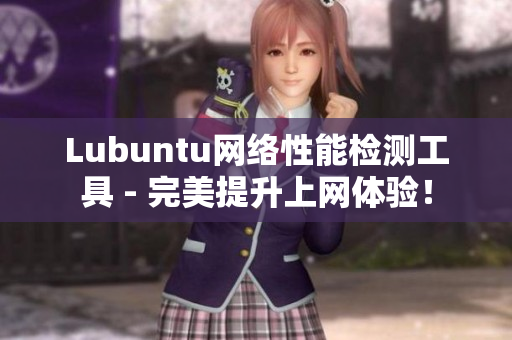 Lubuntu网络性能检测工具 - 完美提升上网体验！