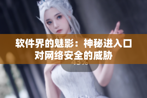 软件界的魅影：神秘进入口对网络安全的威胁