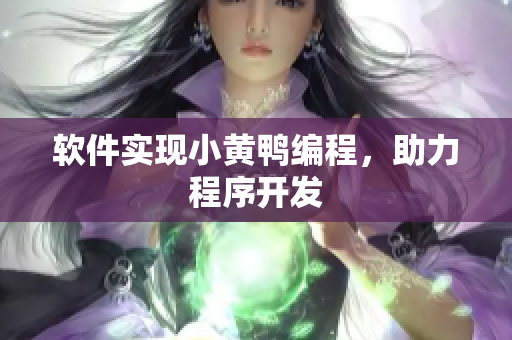 软件实现小黄鸭编程，助力程序开发