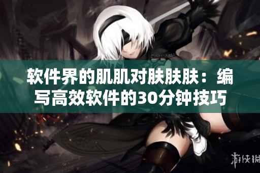 软件界的肌肌对肤肤肤：编写高效软件的30分钟技巧