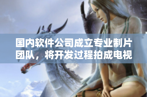 国内软件公司成立专业制片团队，将开发过程拍成电视剧！