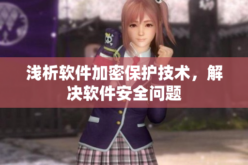 浅析软件加密保护技术，解决软件安全问题