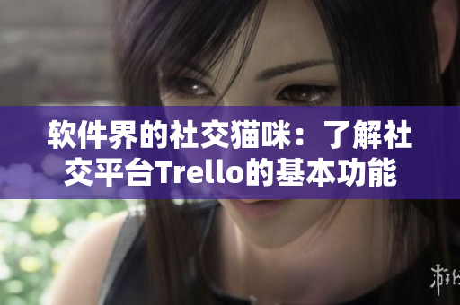 软件界的社交猫咪：了解社交平台Trello的基本功能