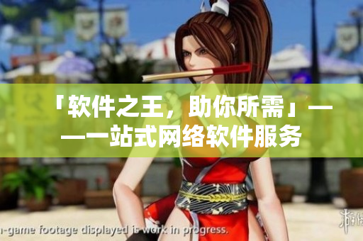 「软件之王，助你所需」——一站式网络软件服务