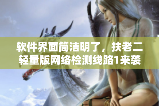 软件界面简洁明了，扶老二轻量版网络检测线路1来袭