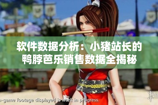 软件数据分析：小猪站长的鸭脖芭乐销售数据全揭秘