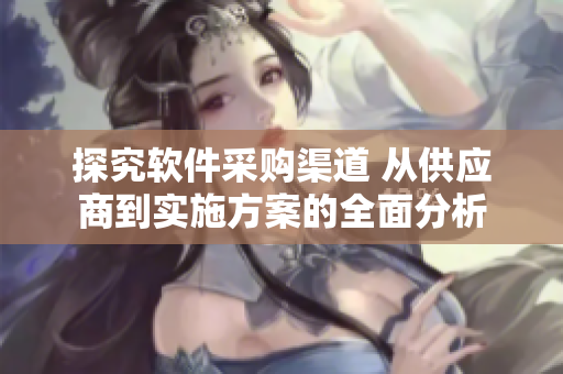 探究软件采购渠道 从供应商到实施方案的全面分析