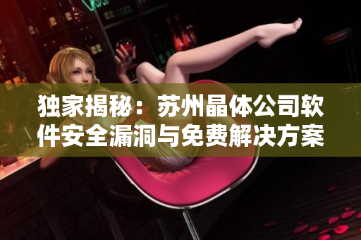 独家揭秘：苏州晶体公司软件安全漏洞与免费解决方案