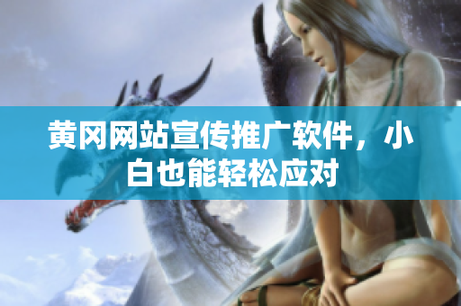 黄冈网站宣传推广软件，小白也能轻松应对