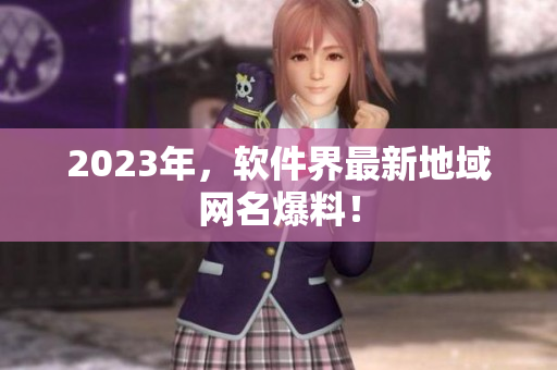 2023年，软件界最新地域网名爆料！