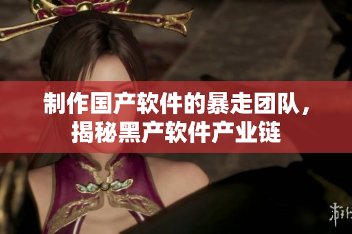 制作国产软件的暴走团队，揭秘黑产软件产业链