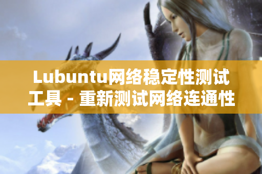 Lubuntu网络稳定性测试工具 - 重新测试网络连通性