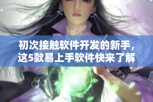 初次接触软件开发的新手，这5款易上手软件快来了解！
