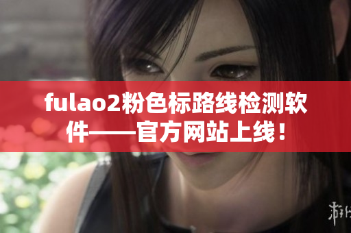 fulao2粉色标路线检测软件——官方网站上线！