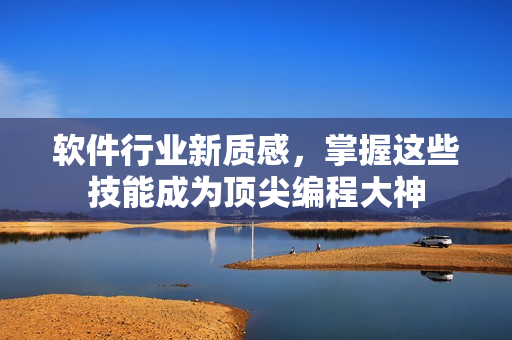 软件行业新质感，掌握这些技能成为顶尖编程大神