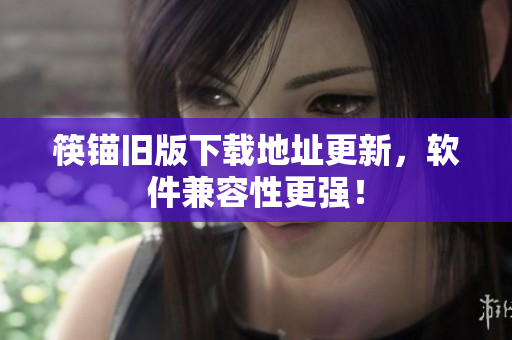 筷锚旧版下载地址更新，软件兼容性更强！