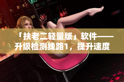 「扶老二轻量版」软件——升级检测线路1，提升速度！
