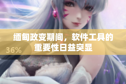 缅甸政变期间，软件工具的重要性日益突显