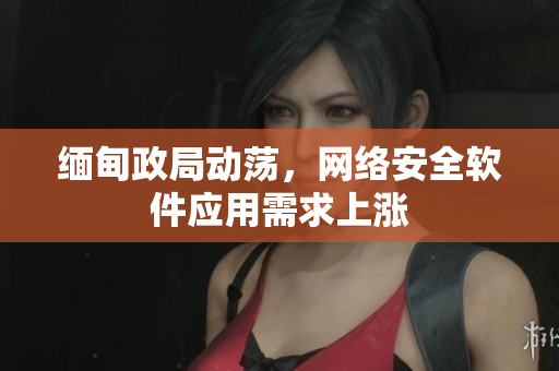 缅甸政局动荡，网络安全软件应用需求上涨