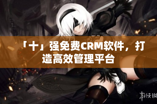 「十」强免费CRM软件，打造高效管理平台