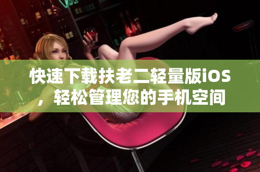 快速下载扶老二轻量版iOS，轻松管理您的手机空间