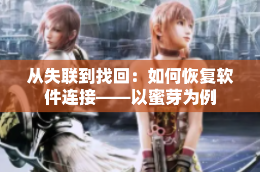从失联到找回：如何恢复软件连接——以蜜芽为例