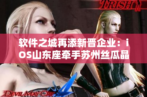 软件之城再添新晋企业：iOS山东座牵手苏州丝瓜晶体有限公司