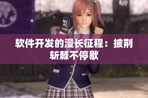 软件开发的漫长征程：披荆斩棘不停歇