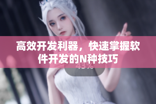 高效开发利器，快速掌握软件开发的N种技巧