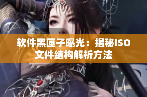 软件黑匣子曝光：揭秘ISO文件结构解析方法