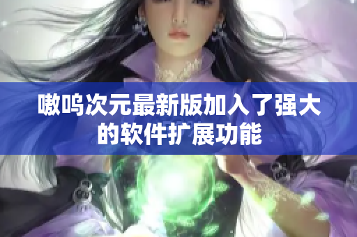 嗷呜次元最新版加入了强大的软件扩展功能