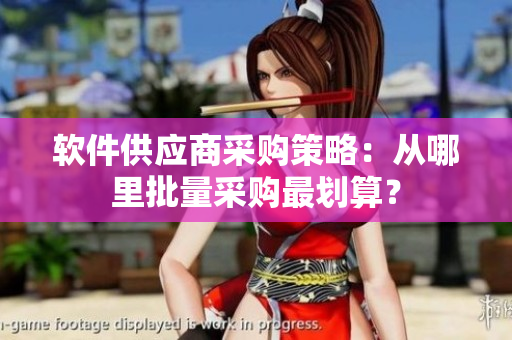软件供应商采购策略：从哪里批量采购最划算？