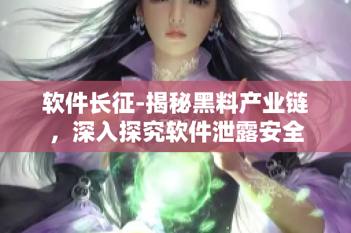 软件长征-揭秘黑料产业链，深入探究软件泄露安全