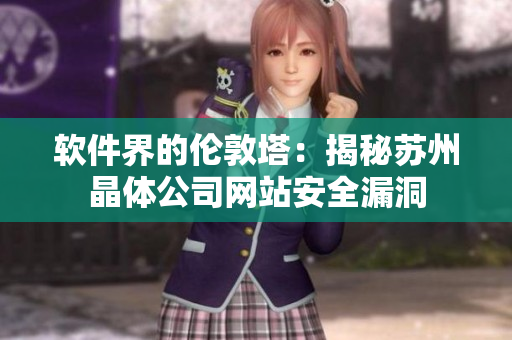 软件界的伦敦塔：揭秘苏州晶体公司网站安全漏洞