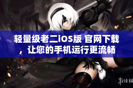 轻量级老二iOS版 官网下载，让您的手机运行更流畅