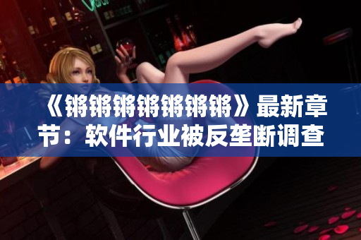 《锵锵锵锵锵锵锵》最新章节：软件行业被反垄断调查