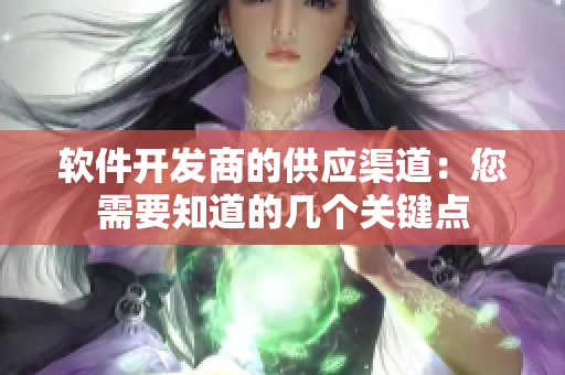 软件开发商的供应渠道：您需要知道的几个关键点