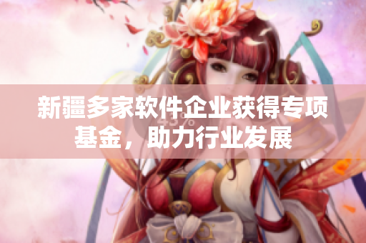 新疆多家软件企业获得专项基金，助力行业发展