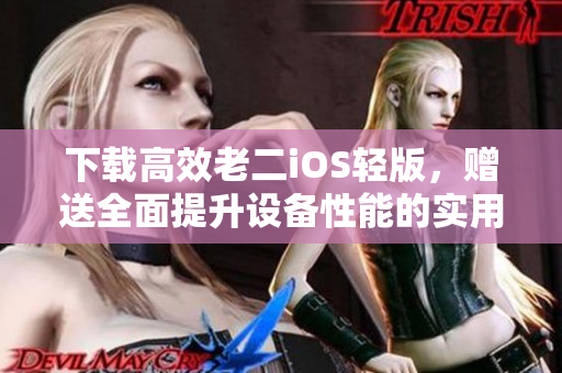 下载高效老二iOS轻版，赠送全面提升设备性能的实用工具！