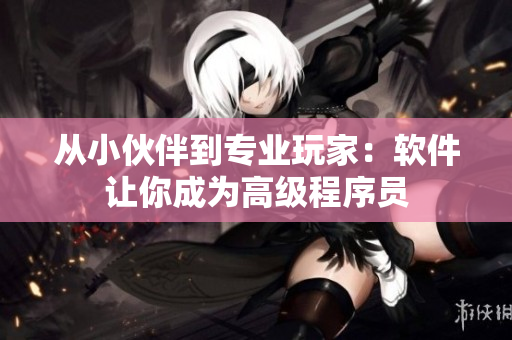 从小伙伴到专业玩家：软件让你成为高级程序员